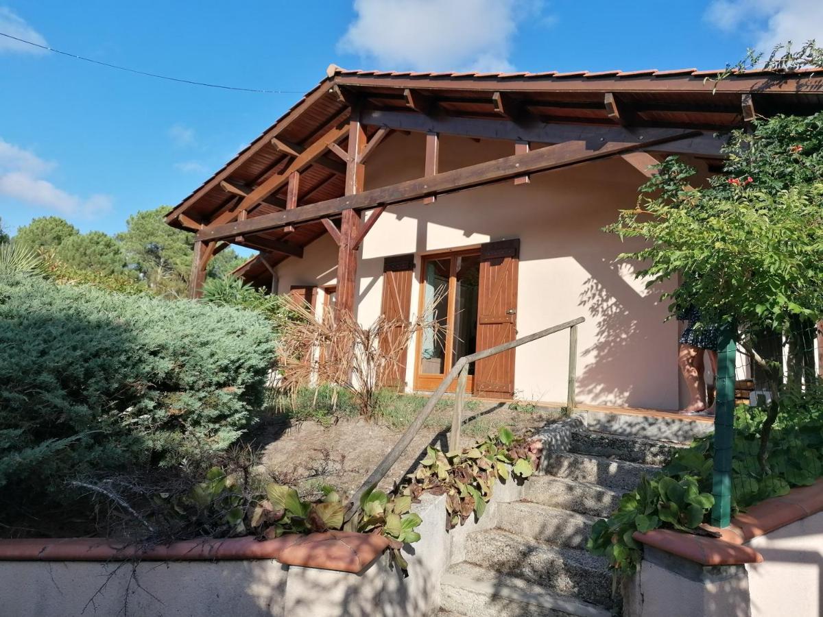 Maison Au Dessus Du Lac De Biscarrosse Eksteriør billede
